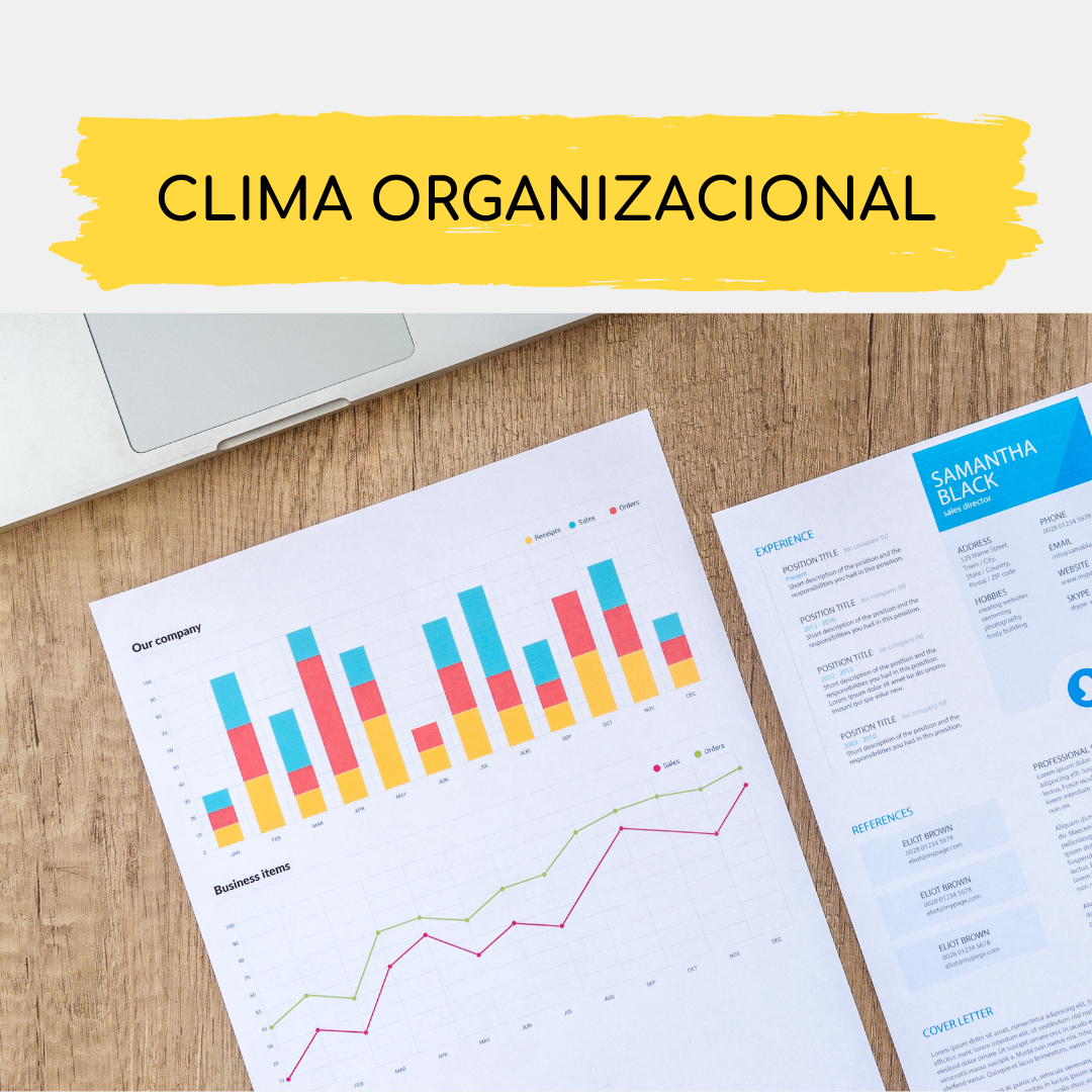 Copia de Consultoría Organizacional (5)
