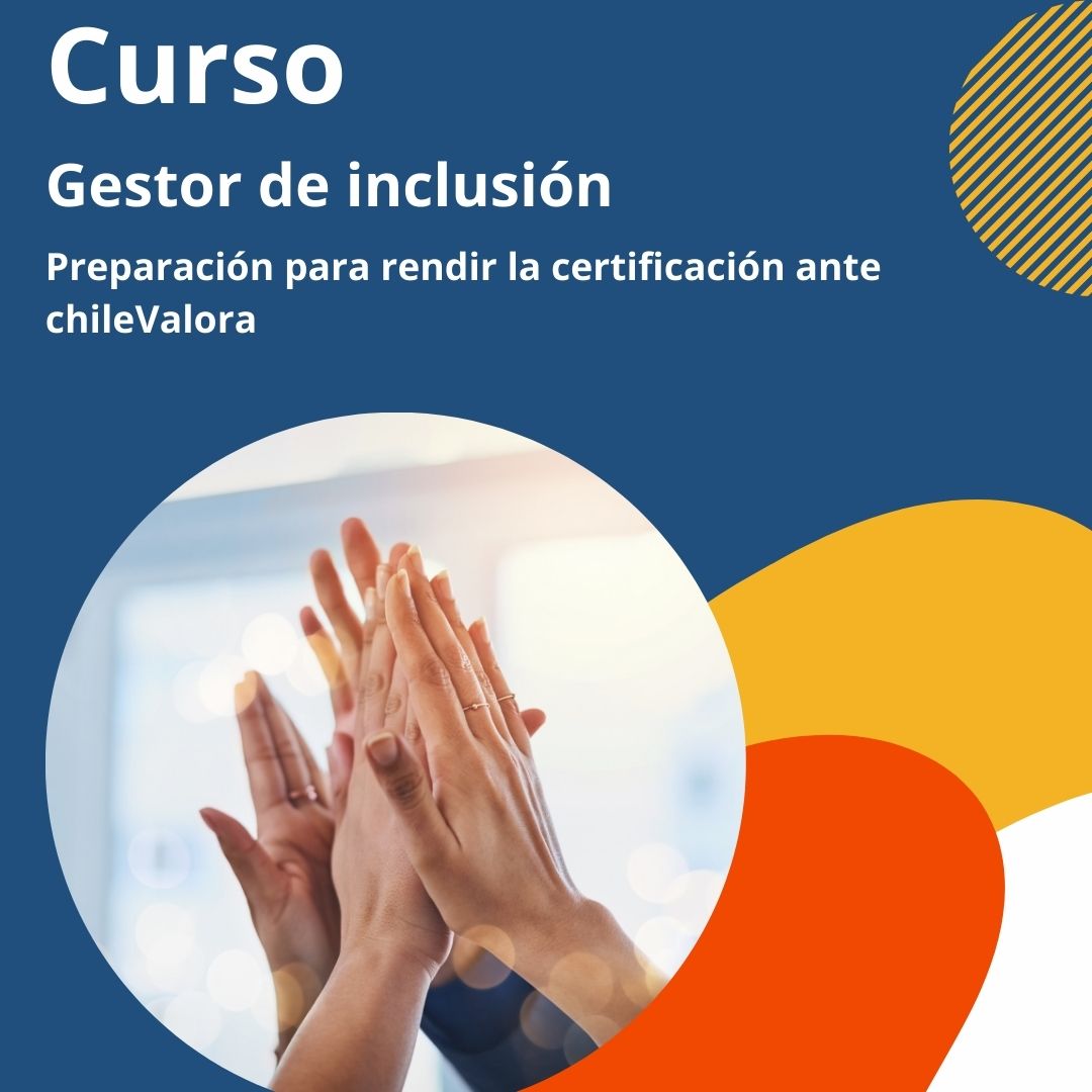 Curso gestor de inclusión